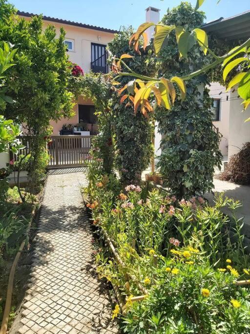 토마르 Casa Alegria - The Orangery 아파트 외부 사진
